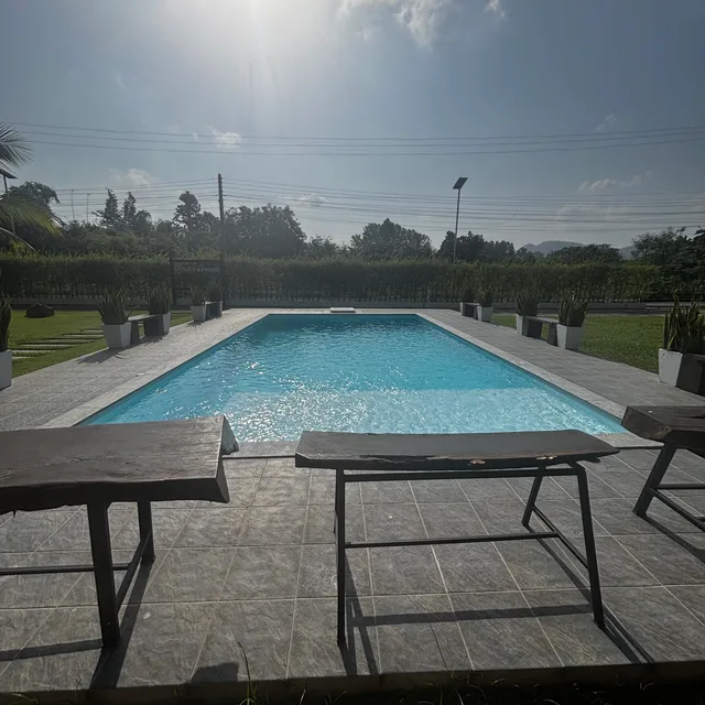 Sun loungers beside the pool in soft morning backlight