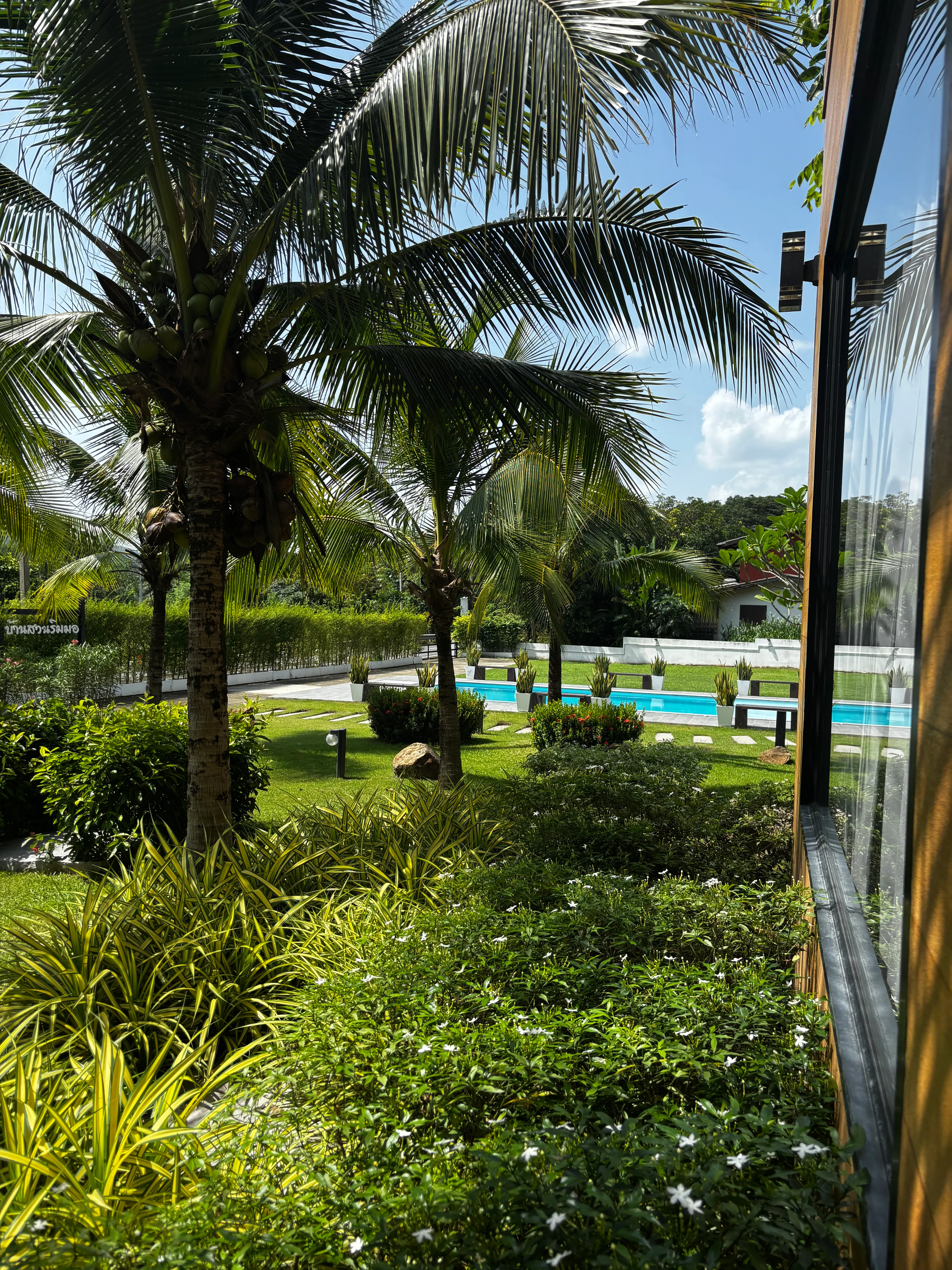 View through palm trees across a tropical garden towards the swimming pool