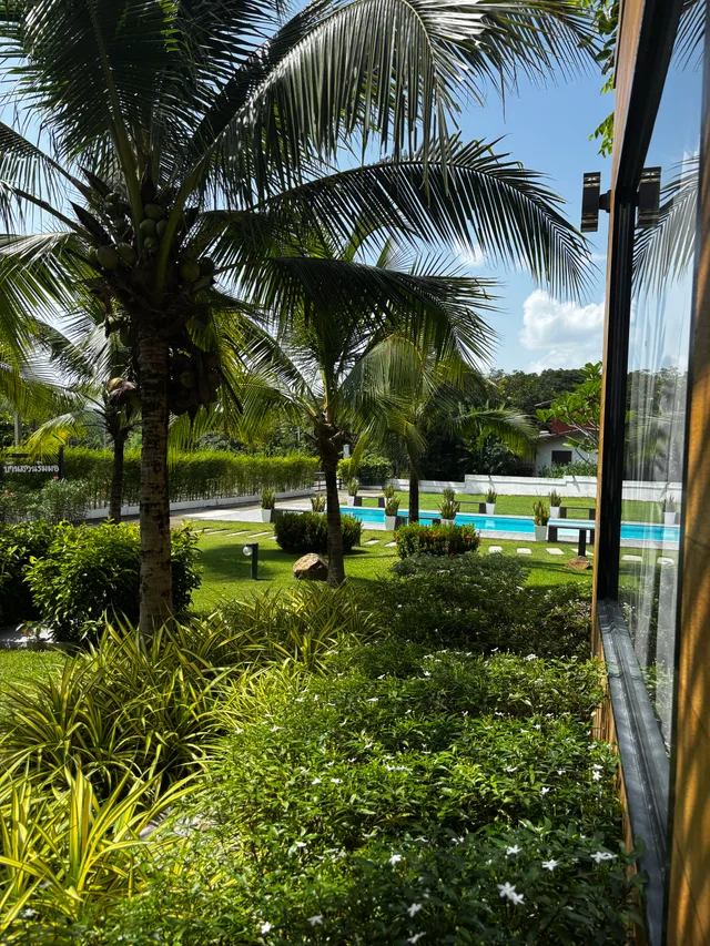 View through palm trees across a tropical garden towards the swimming pool