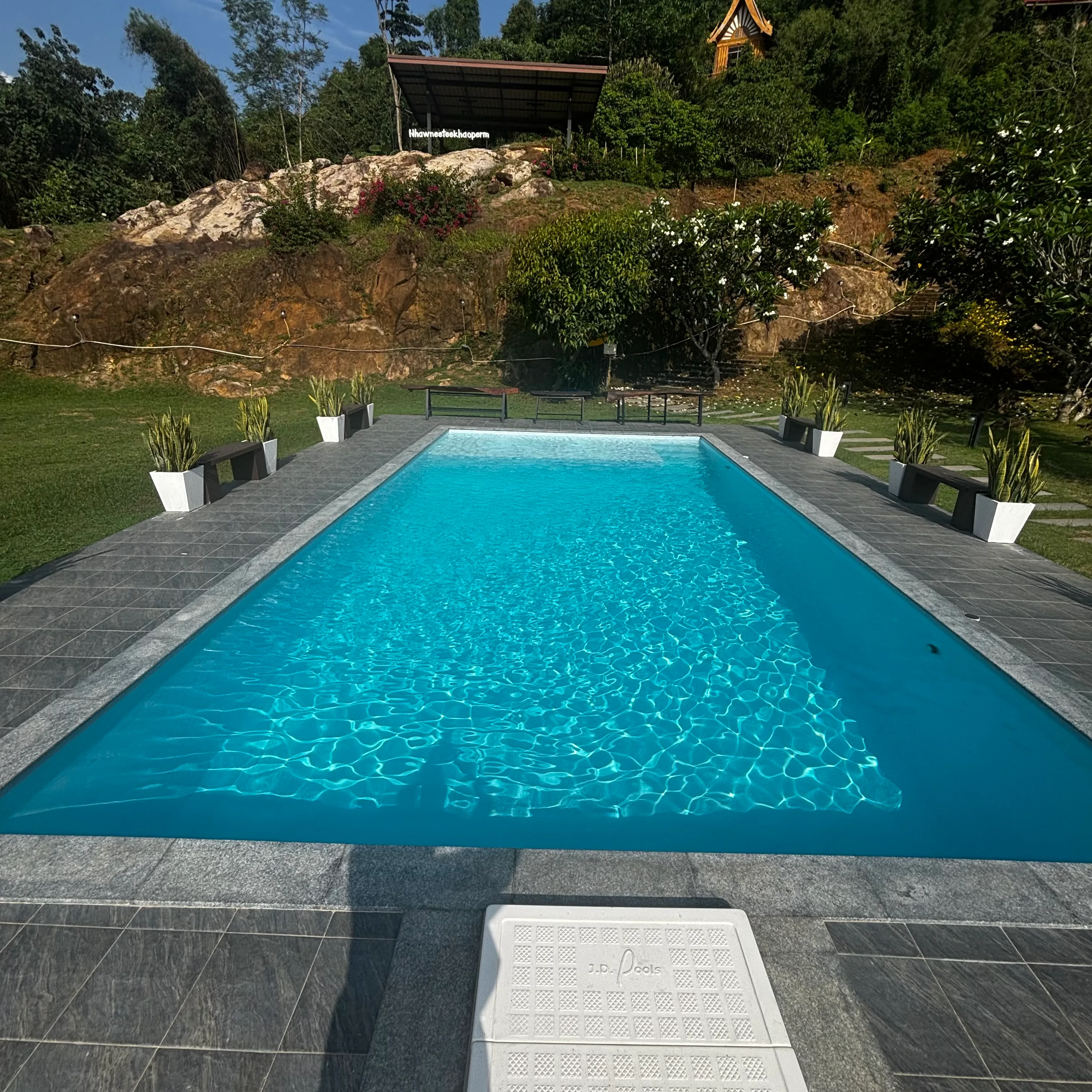 Turquoise private pool with potted sansevieria plants along the stone deck