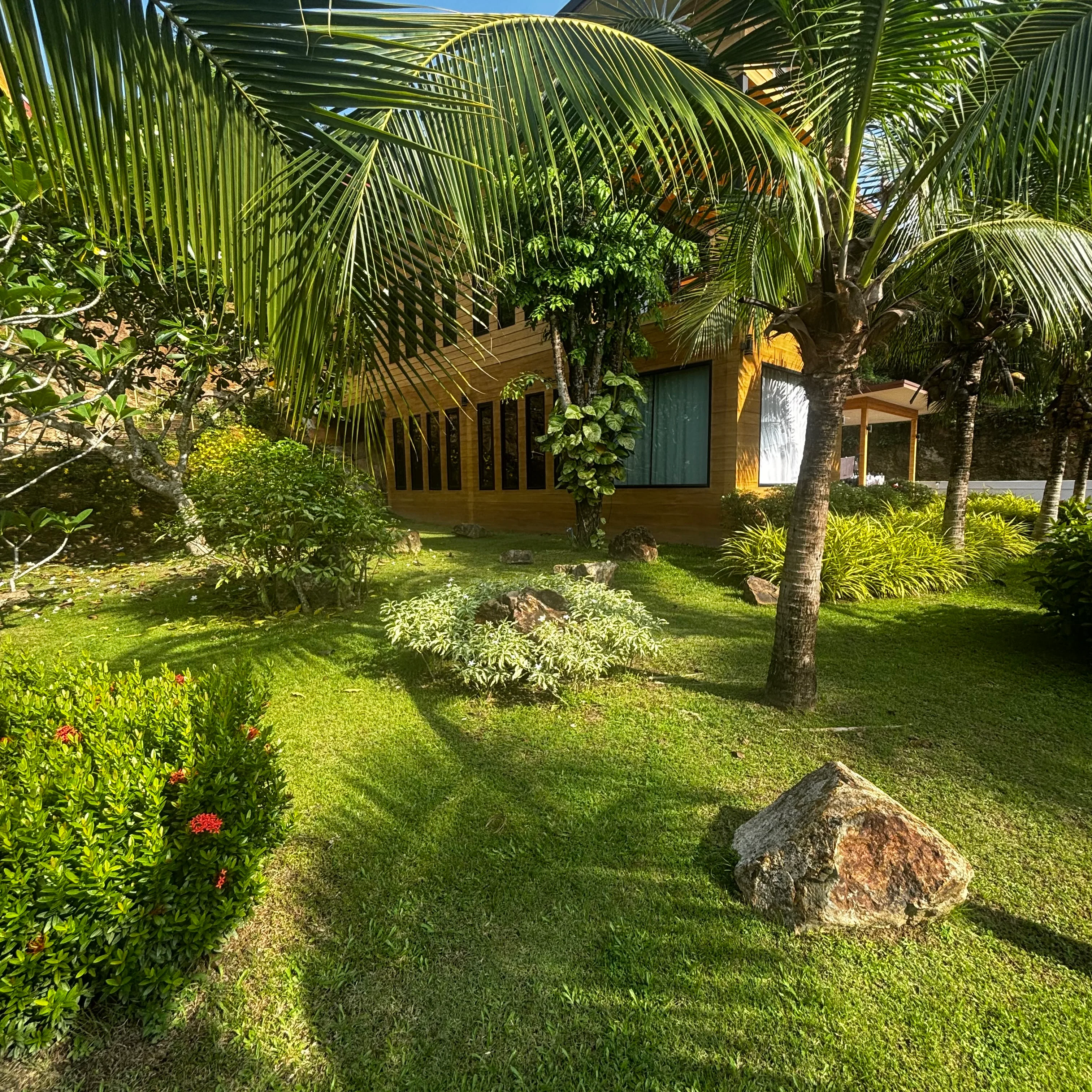 Coconut palms and ornamental rocks in a lush tropical garden