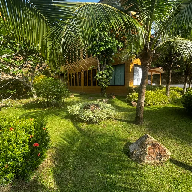 Coconut palms and ornamental rocks in a lush tropical garden